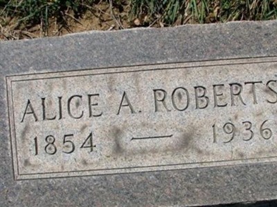 Alice A. Roberts on Sysoon