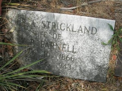 Alice A. Strickland Parnell on Sysoon