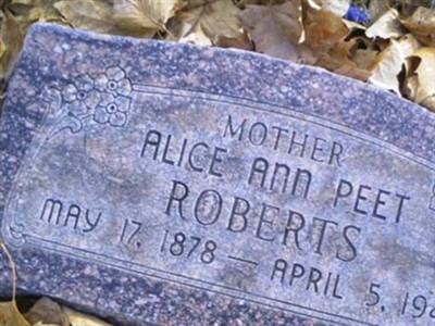 Alice Ann Roberts on Sysoon