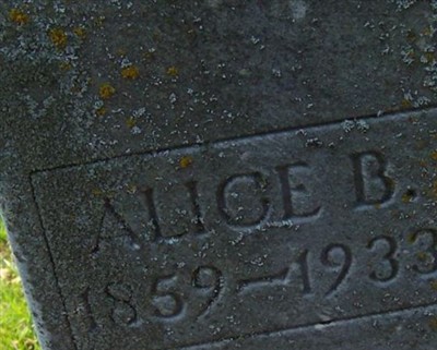 Alice B. Gilman on Sysoon