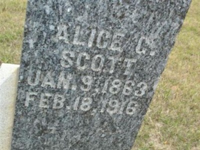 Alice C. Scott on Sysoon