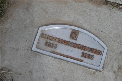 Alice Carpenter Findlay, Find a grave on Sysoon Alice Carpenter Findlay on Sysoon