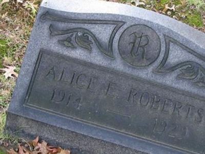 Alice E. Roberts on Sysoon
