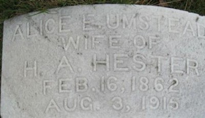 Alice E Umstead Hester on Sysoon