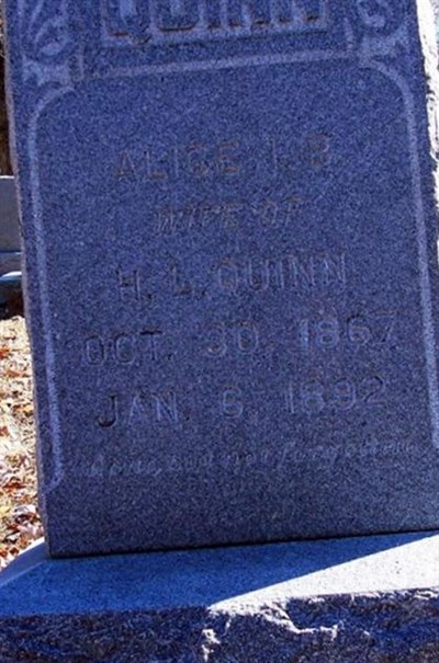 Alice Elizabeth Holmes Quinn on Sysoon