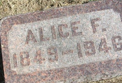 Alice F. Palmer on Sysoon
