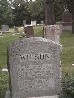 Alice Gertrude Wilson on Sysoon