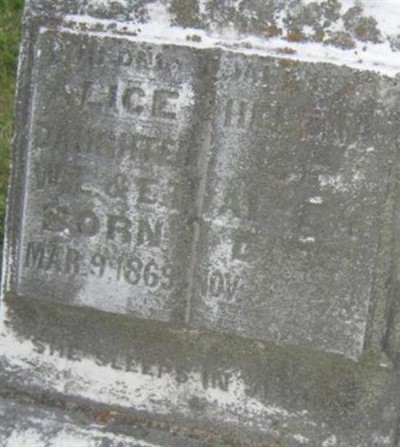 Alice Helena Alyea on Sysoon