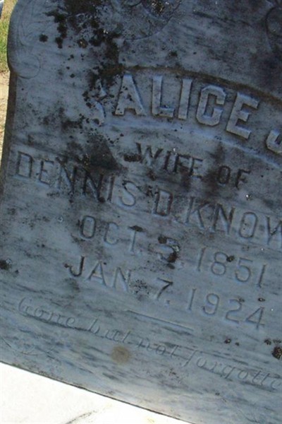Alice J Knowles on Sysoon