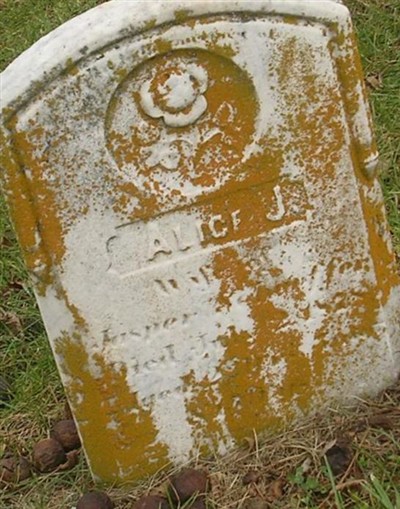 Alice J. Schaeffer on Sysoon