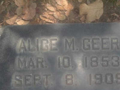 Alice M. Geer on Sysoon