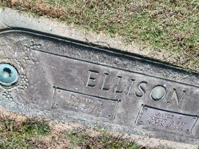 Alice P. Ellison on Sysoon