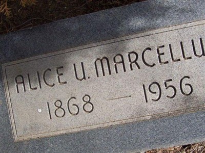 Alice U. Marcellus on Sysoon