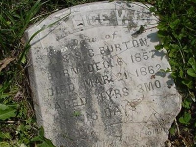 Alice V. Burton on Sysoon