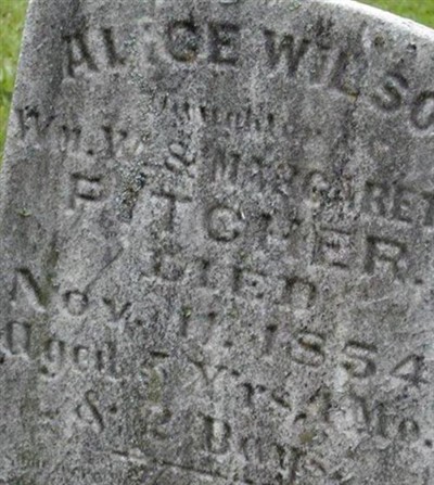 Alice Wilson Pitcher on Sysoon