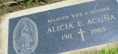 Alicia E. Acu?a on Sysoon