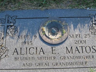 Alicia E Matos on Sysoon