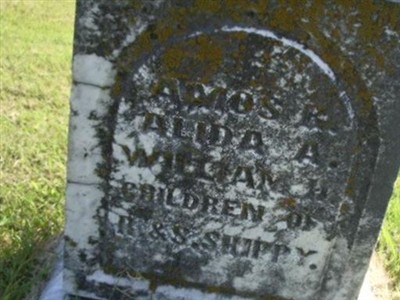 Alida A Shippy on Sysoon