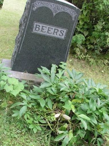 Alida Venetta "Lide" Thompson Beers on Sysoon