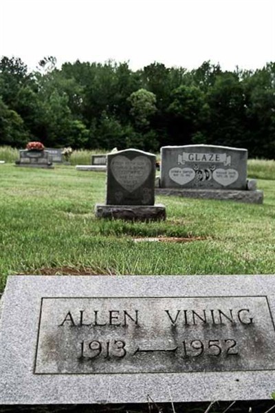 Allen Vining on Sysoon