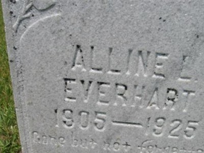 Alline L. Everhart on Sysoon