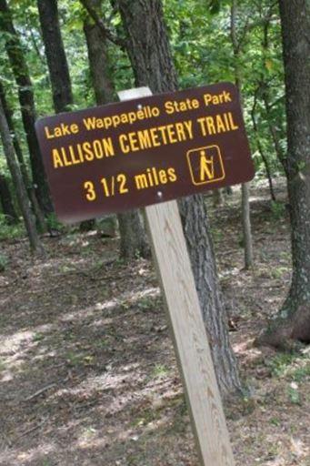 Allison Cemetery on Sysoon