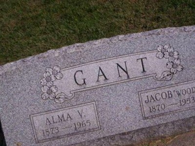 Alma V. Gant on Sysoon