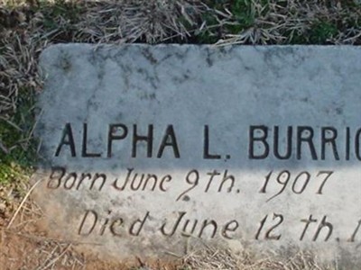Alpha L Burright on Sysoon