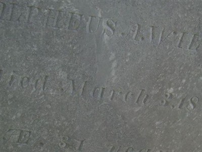 Alpheus A. Willey on Sysoon