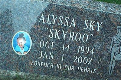Alyssa Sky Kahrig on Sysoon