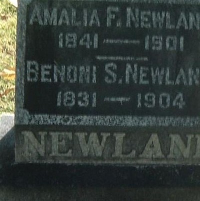 Amalia F Newland on Sysoon