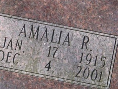 Amalia R. Ruggeri on Sysoon