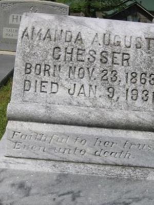 Amanda Augusta Chesser Chesser on Sysoon