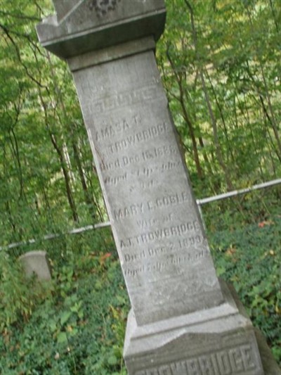 Amasa T. Trowbridge on Sysoon