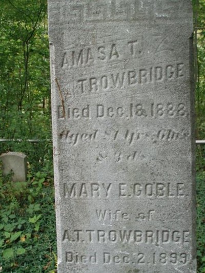 Amasa T. Trowbridge on Sysoon