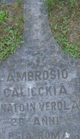 Ambrosio Calicckia on Sysoon