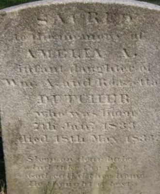 Amelia A. Dutcher on Sysoon