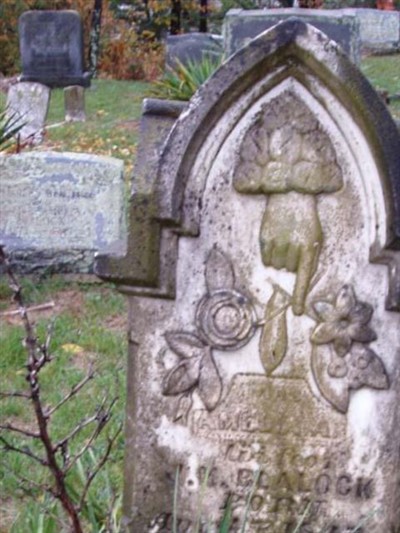 Amelia A. Edwards Blalock on Sysoon