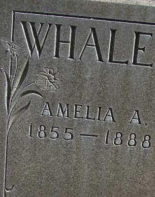 Amelia Ann Smith Whaley on Sysoon