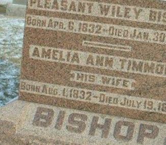 Amelia Ann Timmons Bishop on Sysoon