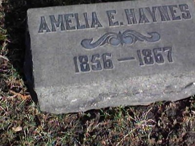 Amelia E. Haynes on Sysoon