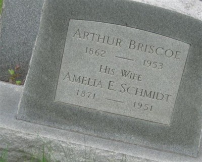 Amelia E Schmidt Briscoe on Sysoon