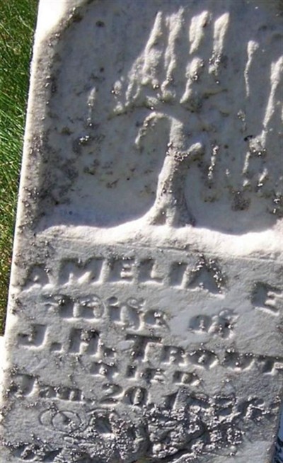 Amelia E. Trout on Sysoon