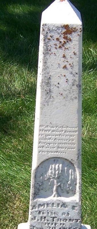 Amelia E. Trout on Sysoon