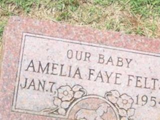 Amelia Faye Felts on Sysoon