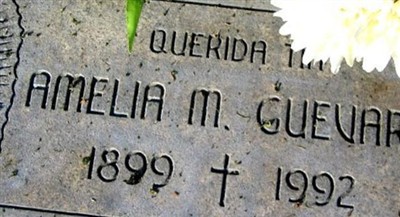 Amelia Mendez Guevara on Sysoon