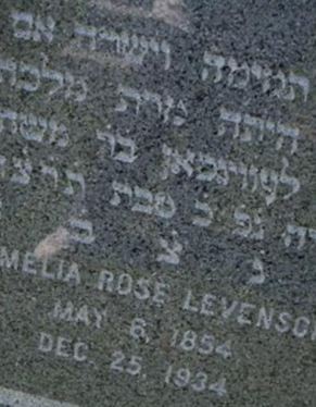 Amelia Rose Levenson on Sysoon