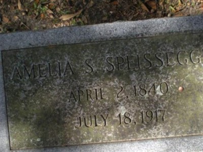 Amelia Susannah Chamberlain Speissegger on Sysoon