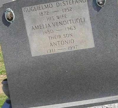 Amelia Vendituoli DiStefano on Sysoon