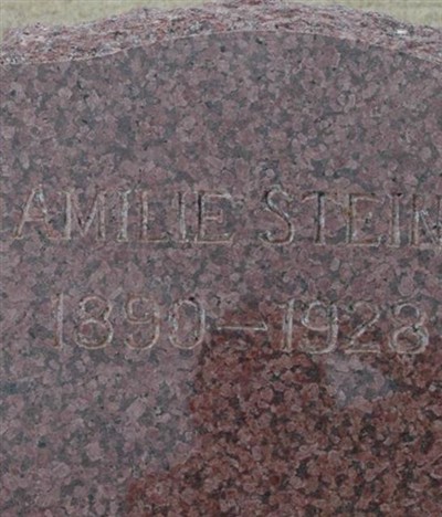 Amilie Nebel Steiner on Sysoon